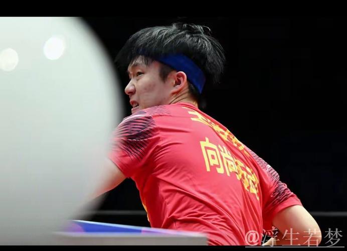 魏桥3-0完胜明润 王楚钦横扫单打 梁靖崑双胜立功